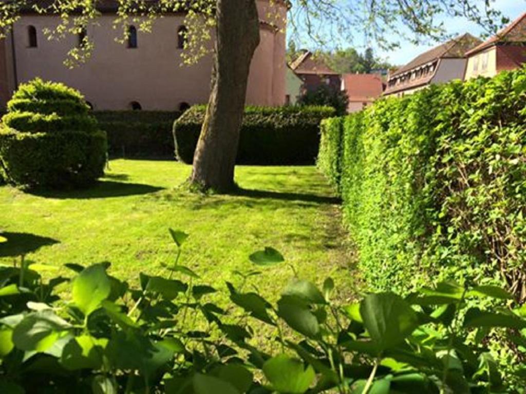 Hotel Du Herrenstein Neuwiller-les-Saverne Экстерьер фото